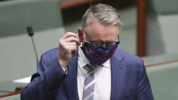 Labor MP Joel Fitzgibbon 