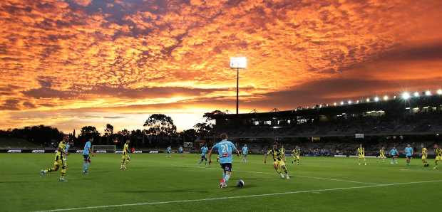 Sydney FC’s Harry Van Der Saag in action against Wellington.