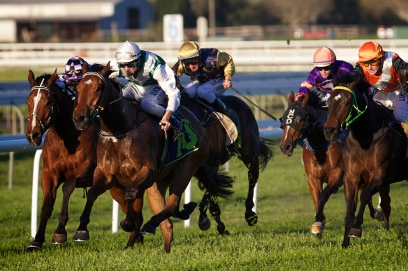 Racing returns to Muswellbrook on Friday.