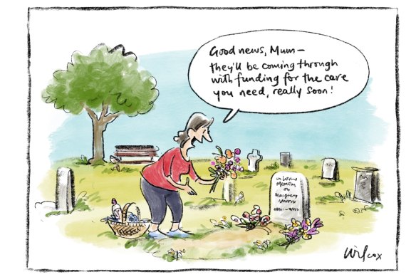 Illustration: Cathy Wilcox