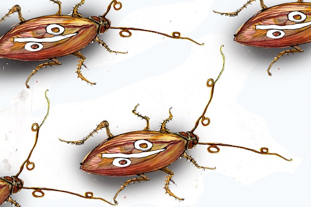 World’s biggest banks get cockroach moment as UK lender collapses