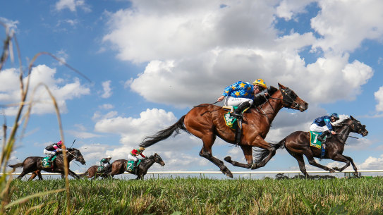 There are plenty of options for punters on a heavy track at Cessnock.