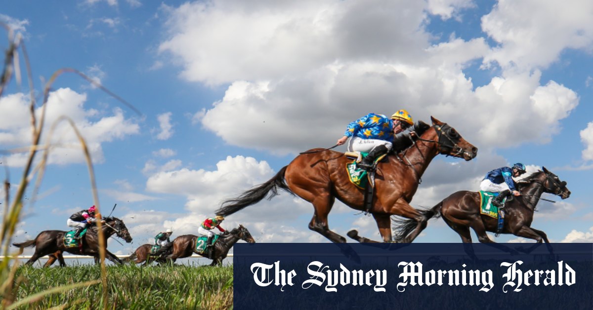 'If whips hurt us, they hurt horses' Study boosts call for whip use ban