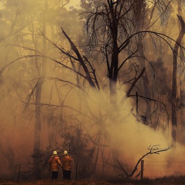 RFS firefighters battle a fire near the Inghams Bargo Chicken Breeder Production Complex at Tahmoor, NSW on December 20, 2019.