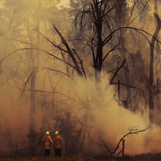 RFS firefighters battle a fire near the Inghams Bargo Chicken Breeder Production Complex at Tahmoor, NSW on December 20, 2019.