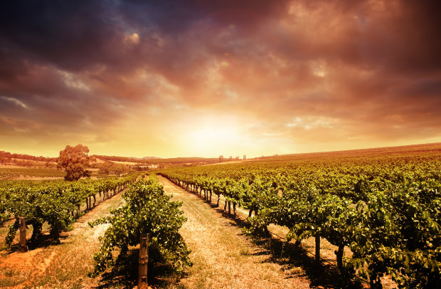 Eisenstone in the Barossa Valley.