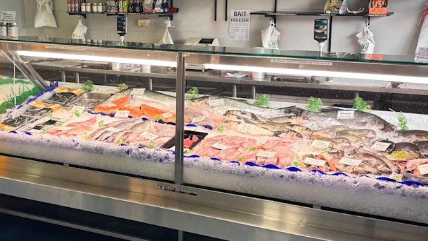 A selection of the fresh seafood on offer.