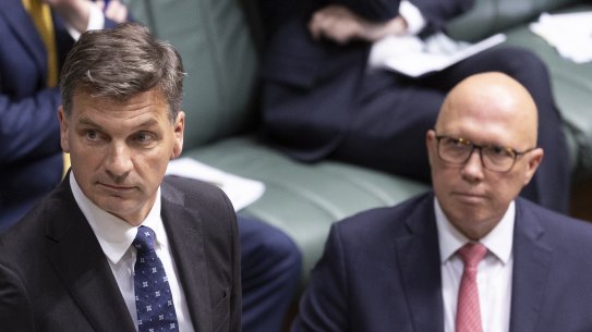Angus Taylor and Peter Dutton.