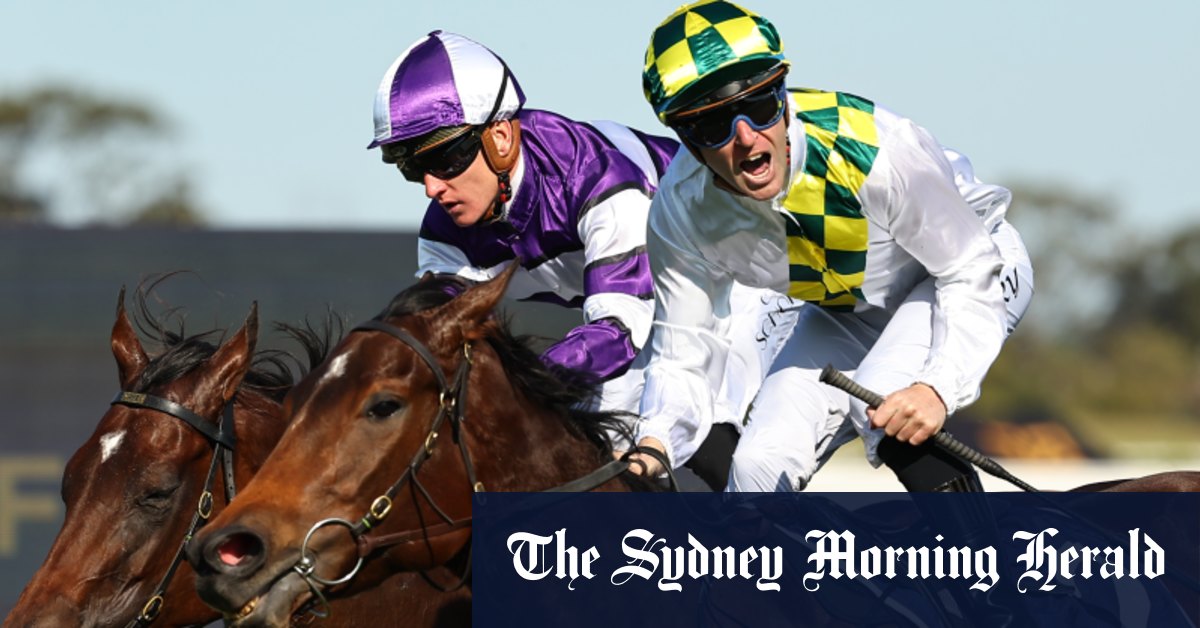 Everyone’s basking in Sunshine while owner keeps to the shade