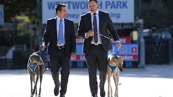 Million dollar baby: Minister for Racing Paul Toole and Greyhound Racing NSW chief executive Tony Mestrov.