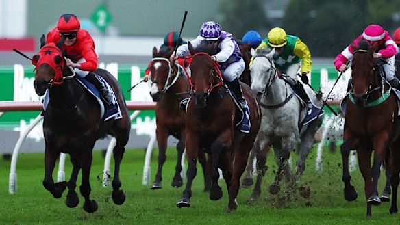 Elson Boy (left) makes it six straight at Rosehill in June 15.
