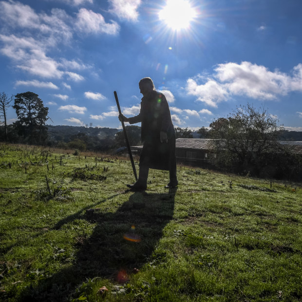 Effie on the farm, March 2023.