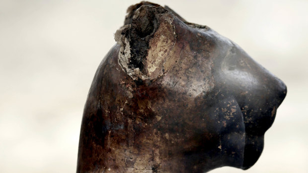 A bronze cat statue on display.