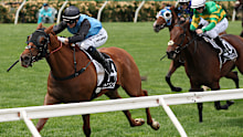  Jamie Melham rides Half Yours to win the Lexus Melbourne Cup last year.