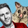 Life in the suburbs brings with it a constant pressure to come up with things to do, including, befriending a possum.