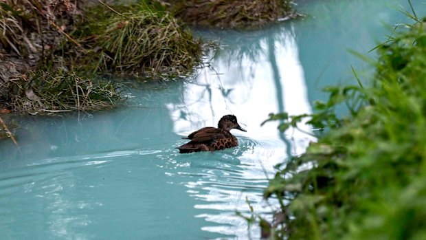 A creek has turned bright blue.