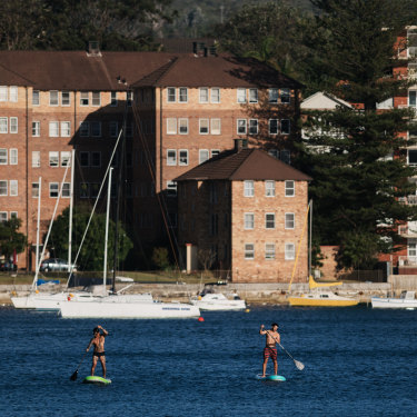 Paddleboard riding in Manly Harbour.