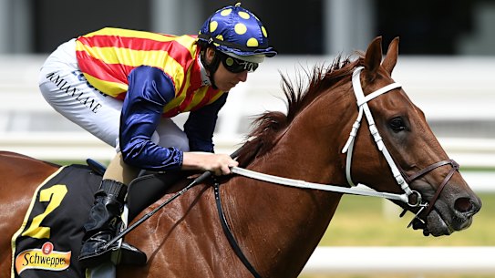 Relaxing Nature Strip could be the key to succes in the Friday's Moir Stakes 