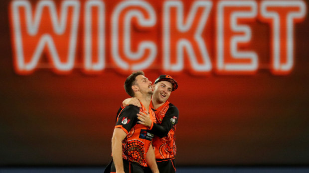 Mitchell Marsh is congratulated by Josh Inglis after dismissing Marcus Stoinis.