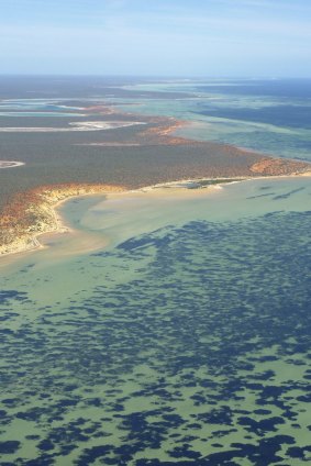 Seagrass in the bay filters the water, making it look very clear, and keeps the bay shallow.