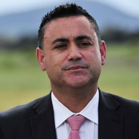 'We have an obligation to protect children and we need to do that,' NSW Nationals leader John Barilaro said.