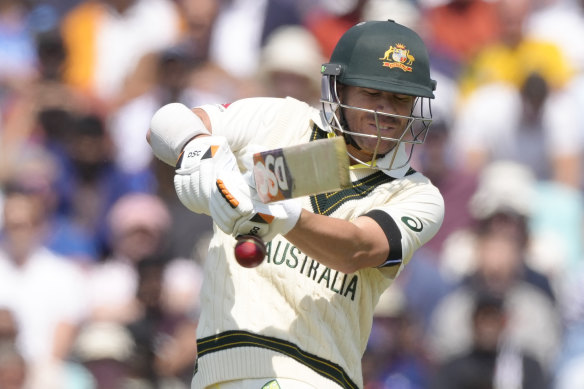 David Warner in action against India.