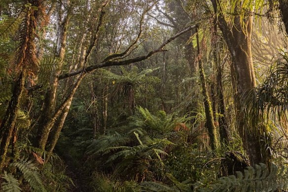 Despite the poor conditions, the trio left the hut and located the man on the trail.