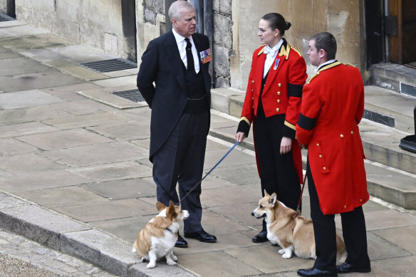 Prince Andrew, left, stands with the Queen’s corgis, Muick and Sandy, inside Windsor Castle, ahead of the committal service for Queen Elizabeth II.