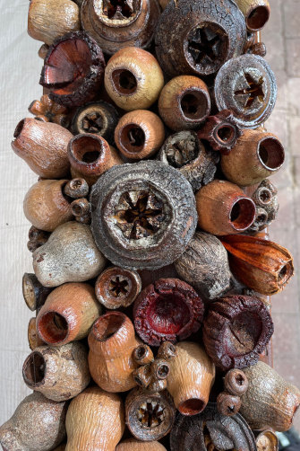 Gumnuts feature in Sera Waters’ work. Detail of <i>Suckers: Coat of (Lopped) Arms</i>, 2021.