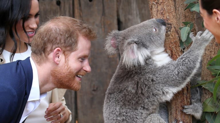 The Duke and Duchess of Sussex visit Taronga Zoo. 