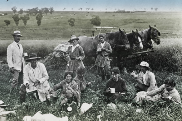 Women were trained as "replacement workers" at places such as Cowra Experiment Farm. 
