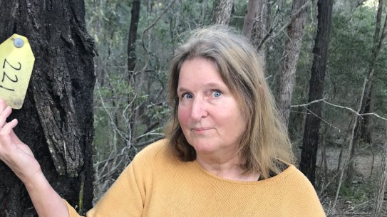 Senior research fellow Dr Conny Turni at Springfield, where koala habitat is to be cleared.