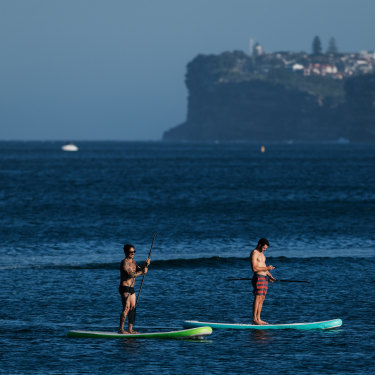 Paddleboard riding in Manly Harbour. 