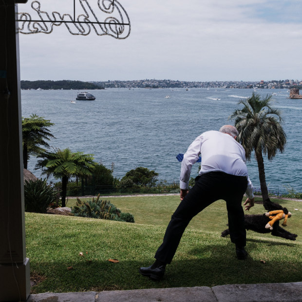 Morrison with his dog Buddy on the lawns of Kirribilli House. Morrison’s assessment of the national psyche is that “Australia is not a country where people want to spend every afternoon talking about politics”.