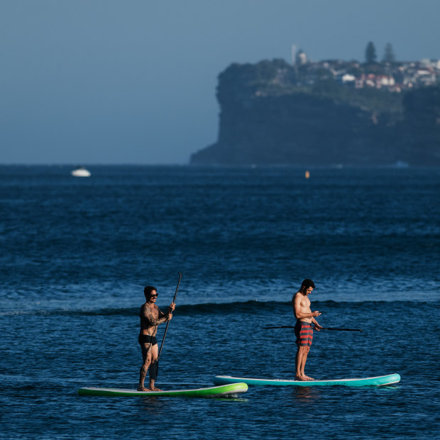 Paddleboard riding in Manly Harbour. 