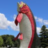 ‘Fair-dinkum balls-up’: Big stink over town’s giant fish ends in repaint job