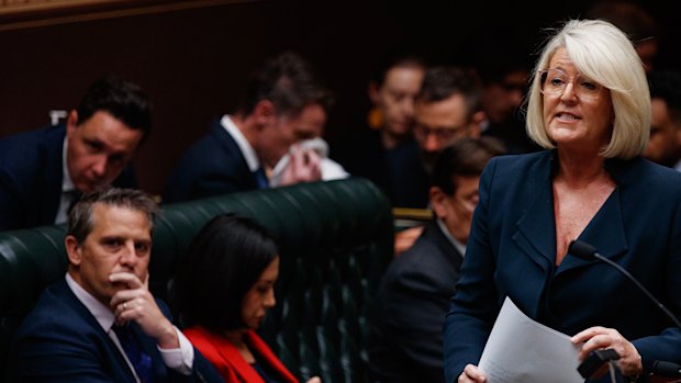 Police Minister Yasmin Catley answers a question in the NSW Legislative Assembly this week.