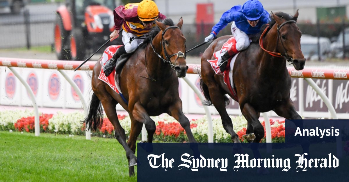 Superb Anamoe may be the one to lift Sydney out of a quiet summer