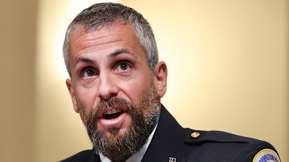 Metropolitan Police Department Officer Michael Fanone.