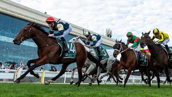 Ethan Brown has passed up the chance to ride Jimmystar in The Everest to partner Zahrann in the Caulfield Cup.
