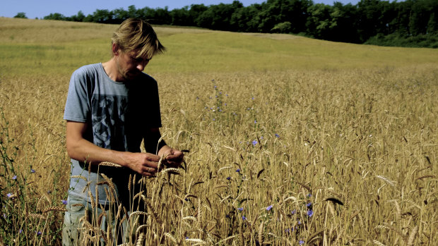 Musician Andy Cato works his fields in Gascony.