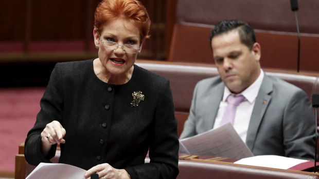 Senator Pauline Hanson, with One Nation colleague Senator Peter Georgiou during the debate on tax in the Senate on Wednesday.