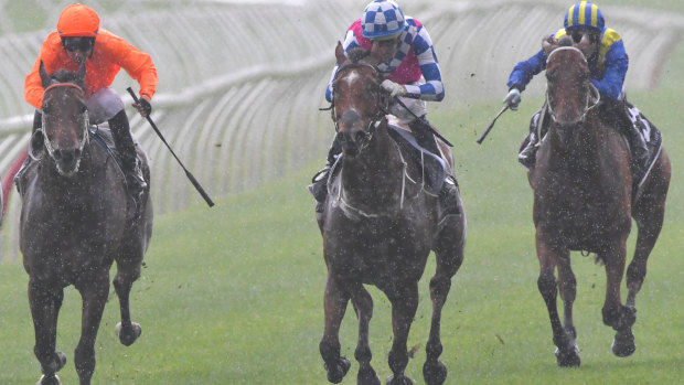 Canberra trainer Matthew Dale says the Australia Stakes will be a launch pad for Fell Swoop's autumn.