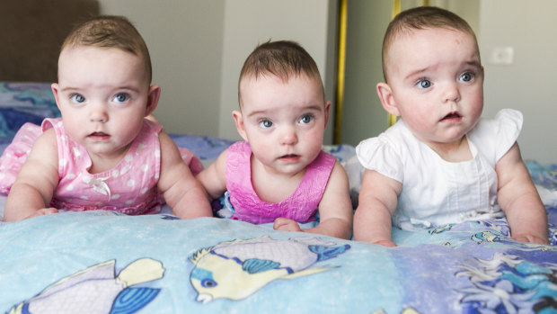 Identical triplets Aleisha Keen, Maddilyn Keen, and Eloise Keen 7 months old. 