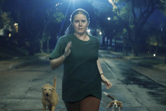 Amy Adams hits the road with some canine friends in Nightbitch. 