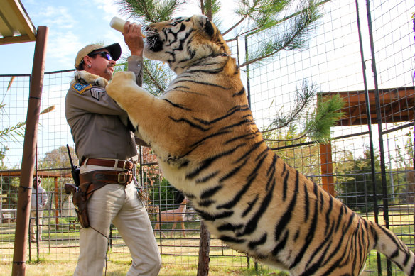 The Netflix series Tiger King, starring Joe Exotic, has become a global sensation.