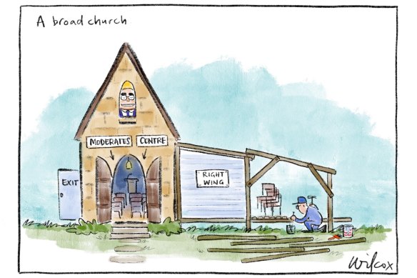 Illustration: Cathy Wilcox