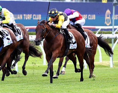 Nash Rawiller launches Terra Mater to victory in a Midway Handicap at Randwick last month.