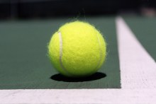Who knew there was another crucial role for the humble tennis ball?