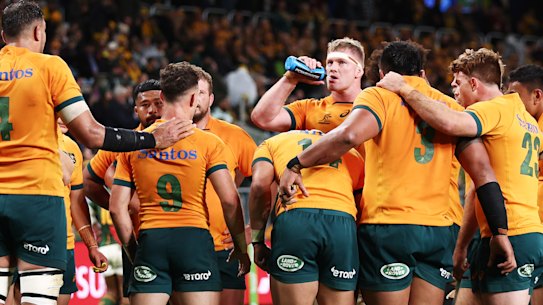 The Wallabies suffered a 24-8 loss to the Springboks in Sydney. 